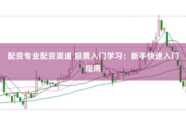配资专业配资渠道 股票入门学习：新手快速入门指南