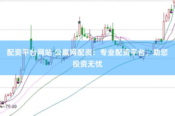 配资平台网站 公赢网配资：专业配资平台，助您投资无忧