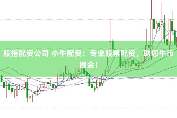 股指配资公司 小牛配资：专业股票配资，助您牛市掘金！