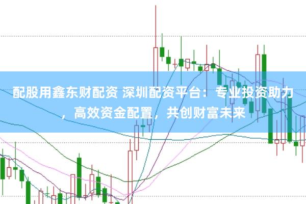 配股用鑫东财配资 深圳配资平台：专业投资助力，高效资金配置，共创财富未来