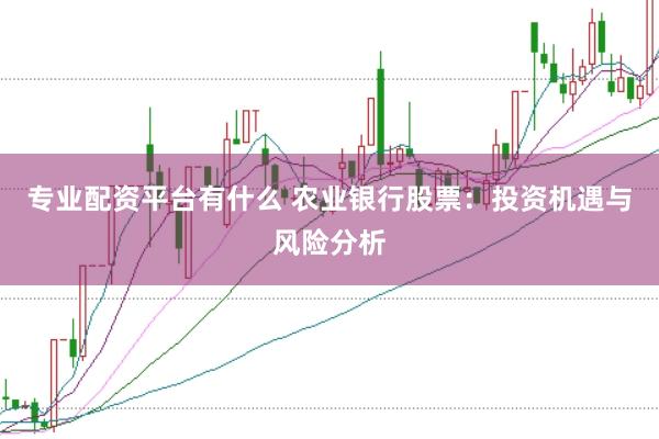 专业配资平台有什么 农业银行股票：投资机遇与风险分析