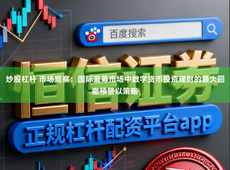 炒股杠杆 市场观察：国际蓝筹市场中数字货币投资理财的最大回撤预警以策略