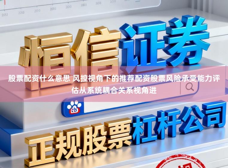 股票配资什么意思 风控视角下的推荐配资股票风险承受能力评估从系统耦合关系视角进