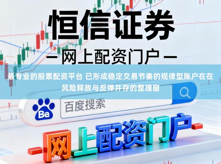 最专业的股票配资平台 已形成稳定交易节奏的规律型账户在在风险释放与反弹并存的整理窗